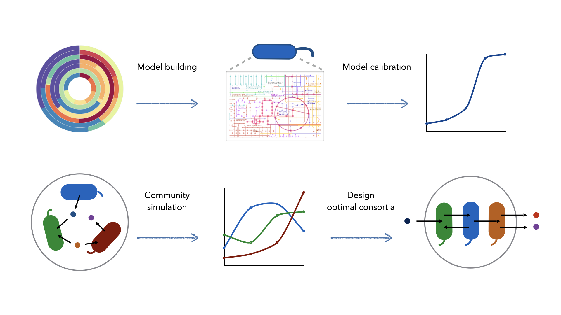 Cell4Chem Systems Biology workflow